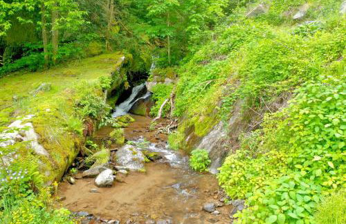 Windows Over Waterfalls - Foto 45