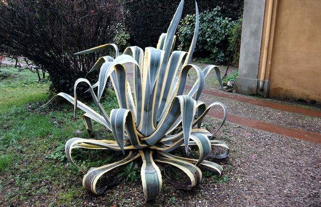 B&B Antica Piazza dei Miracoli - Photo 32