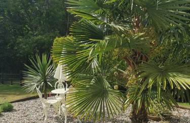 The Woodpeckers - Alresford Essex - Foto 33