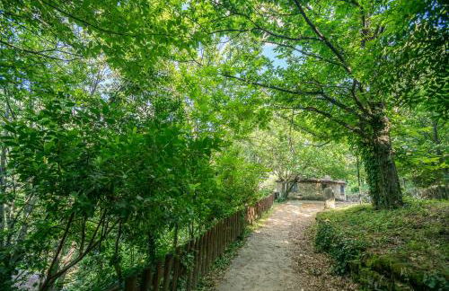 Chozos Rurales El Solitario - Foto 72