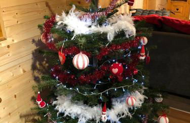 Chalet O FIL DE LO - wifi, BBQ, parking - Foto 8