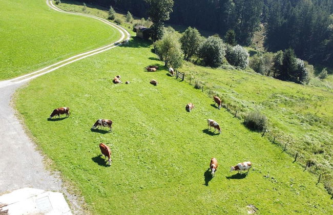 Holiday Flat with Pool Access - Foto 26