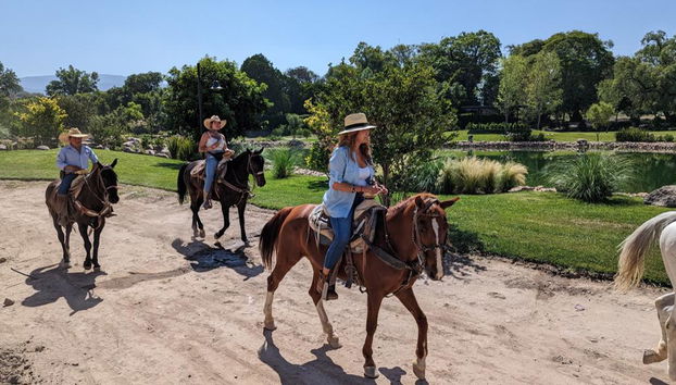 Disfruta de un paseo único a caballo por el viñedo con cata de vinos - Foto 3