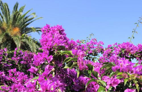 Residence Casa Torretta - Foto 24