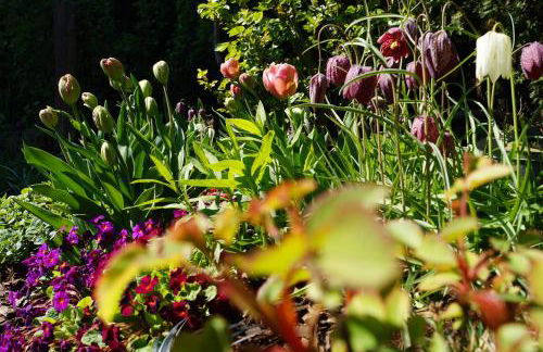 Haus am See - Foto 28