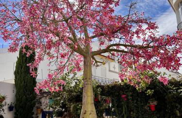 Manilva del Sol SEA VIEW PENTHOUSE - Photo 78