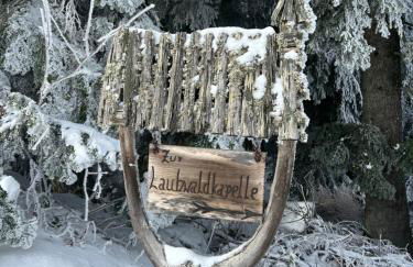 Apartment Schwarzwald-Anni Pool Tennis Sauna - Foto 49