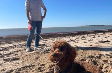 L'Air Marin - Photo 32