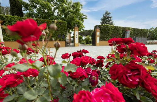 Villa Colombai - Foto 10