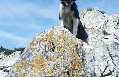 Corral de Bartolo - Foto 16