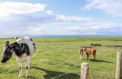 Corsewall Castle Farm Lodges - Foto 51