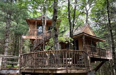 Eco-Friendly, Abstract Treehouse Surrounded by Wildlife and Hiking Trails For a Special Getaway in Sparrow Bush, New York - Foto 10
