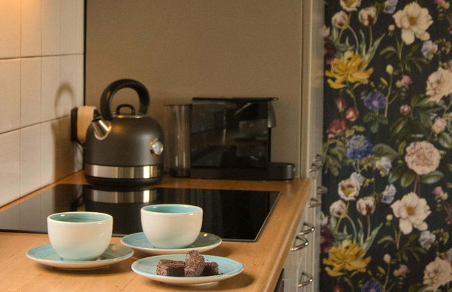 Holiday Home in Schoonloo With Balcony/terrace - Foto 33