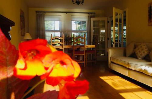 Springfields - Foto 11