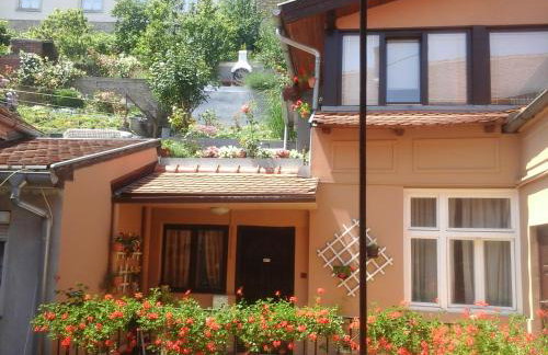 Apartments Radićeva - Foto 17