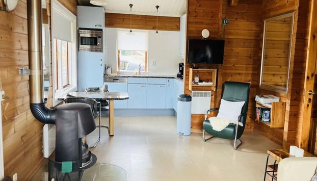 Finnish Chalet with Private Garden & Sauna near Veluwe - Foto 5, Sala de estar