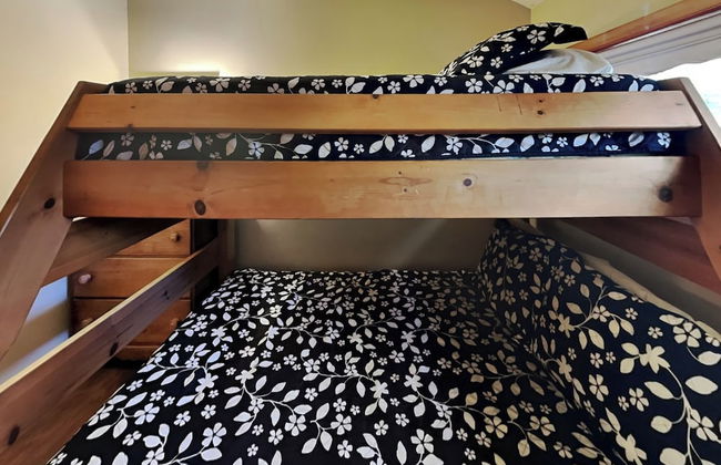 Mountain Escape by Taylor Made Deep Creek - Photo 25