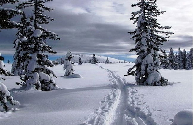 Chalet in Annaberg-lungotz With a Community Pool - Foto 25