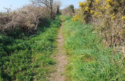 Corvus - Beautiful cottage half a mile from Mousehole - Photo 67