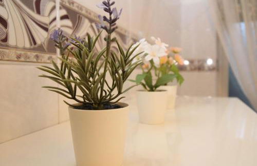 Holiday-House-Camelia-600-meters-from-the-beach - Photo 18