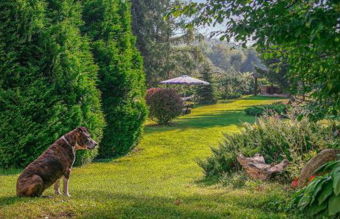 Gorgeous Home In Sarnikierz - Foto 15