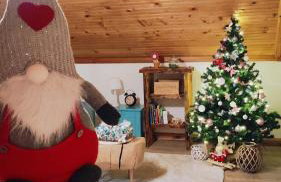 Kuća za odmor Delak - Foto 52