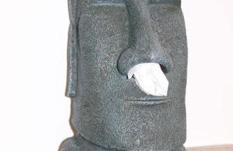 REBENBLÄTTLE - Foto 14