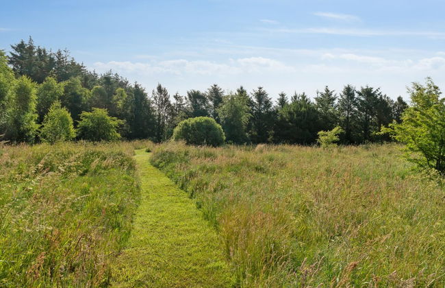 "Elsia" - 1.5km to the fjord - Foto 11