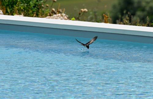 AgriRelais San Giovanni - Foto 7