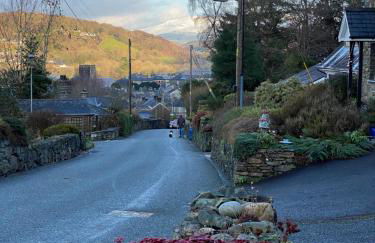 Snowdonia Snug - Studio Style Accommodation - Foto 43