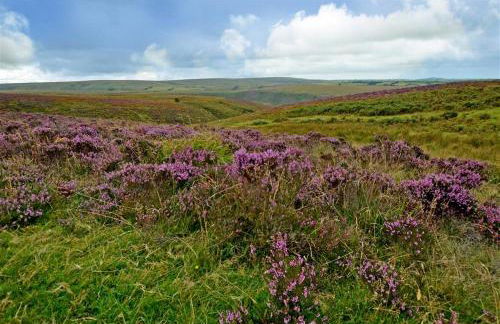 2 Bed in Lynton oc-cransb - Foto 30