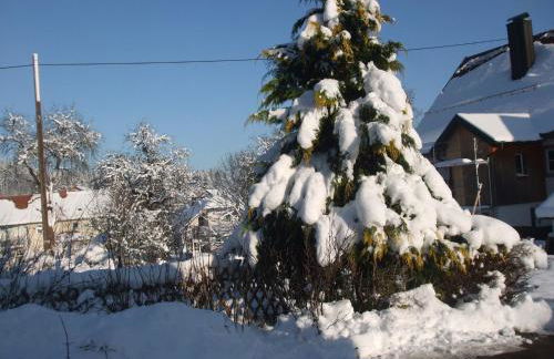 Ferienwohnung im Kappeler Wald - Photo 8