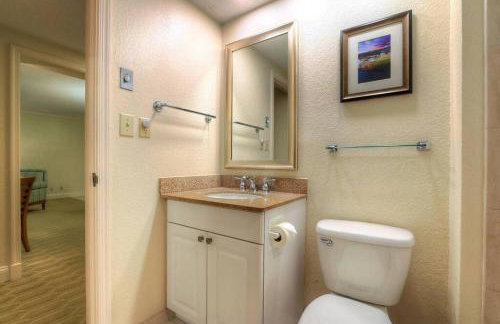 Luxury 1 Bedroom Condo in Palm Harbor Florida 2 Miles From Beach by David Rigney Real Estate Solutions - Foto 41