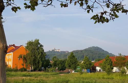 Ferienhaus Am Kirchberg - Foto 49