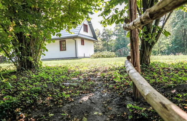 Zatylówka Dom na Wyspie - Foto 36