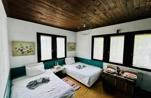 ΤΟ ΑΡΧΟΝΤΙΚΟ - Photo 37