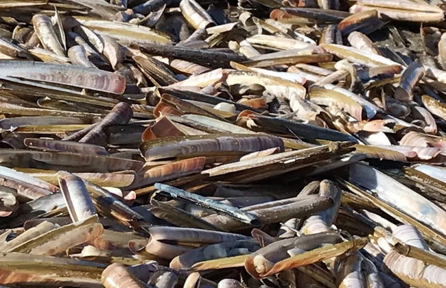 Relax in Your Holiday Home With Sauna, Near the Beach of Noordwijk - Foto 37