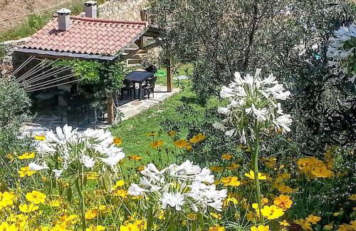 Casas do Couratão - Foto 20