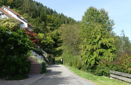 Ferienwohnungen Sonnenhalde mit schöner Aussicht - Foto 54