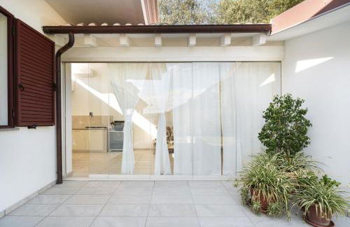 Domo Bonaeras - Foto 20