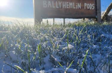 Ballyhemlin Pods - Haw thorn - Foto 21