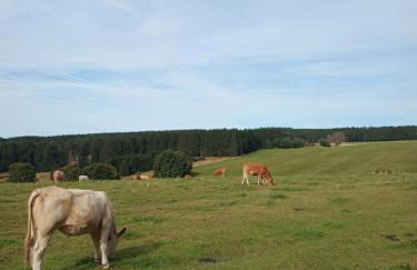 Ferienwohnung am Rennsteig - Foto 11