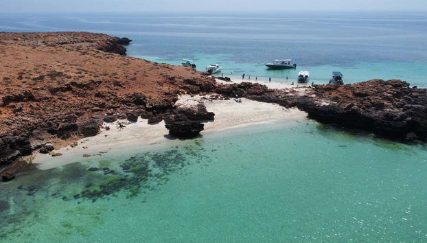 Daymaniyat Islands Snorkelling - Foto 3