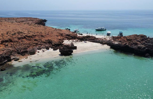 Daymaniyat Islands Snorkelling - Foto 3