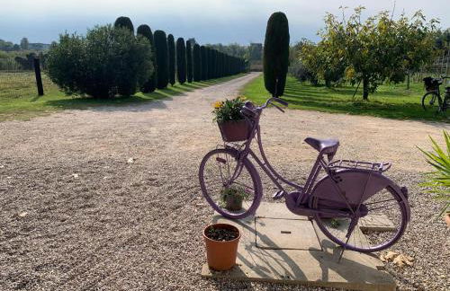 Agriturismo Corte Bonetti - Foto 38