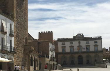 Apartamentos Turísticos Domus Seleqtia Plaza Mayor - Foto 1