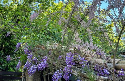 La casa di Zoe-ARTANDTRAVEL - Foto 66