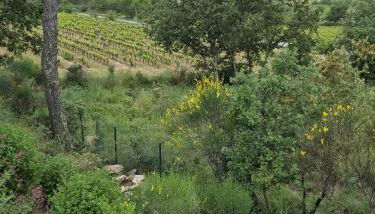 Mon petit coin de paradis - Foto 4