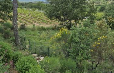 Mon petit coin de paradis - Foto 4