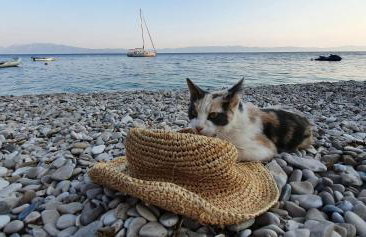 Hvar Stone Villa with pool - Foto 74